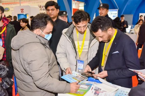 全球精英聚安平 共赴“智造”之约(图6)