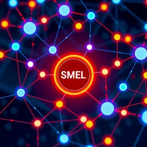 微风企：数字信用加速构建中小微企业融资新生态(图1)