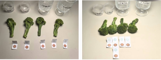 实验室级纯净+天然矿化：知乎答主评审团硬核拆解格力“6个9”锌矿水净水机(图9)