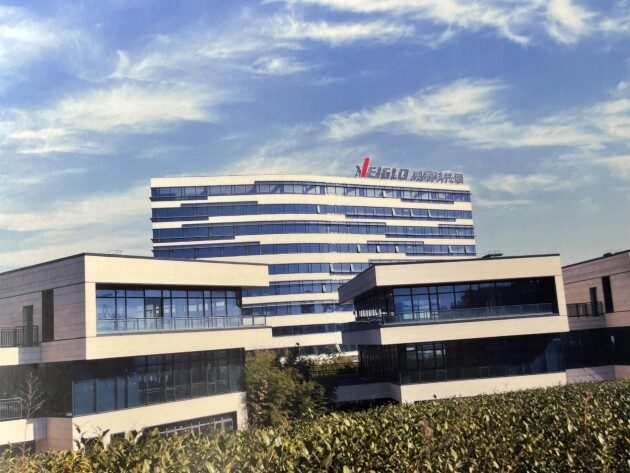 并购深圳忆数存储，威固信息迈向国际市场全攻略(图1)