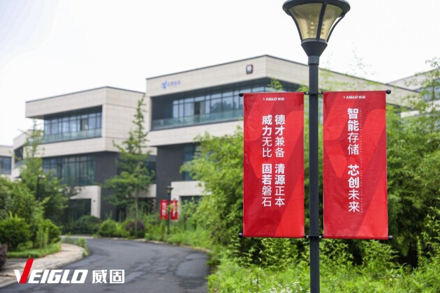 并购深圳忆数存储，威固信息迈向国际市场全攻略(图6)