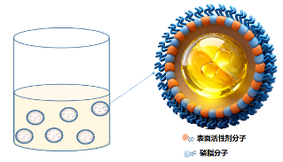 油溶胶原技术突破｜开启护肤新场景应用(图7)