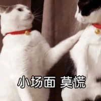 第五代骁龙8性能升级全解析｜旗舰芯片核心优势(图12)