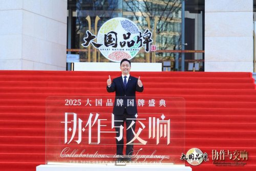 大国品牌年度花落莫干山绿色科技筑就万千家庭安心港全攻略(图1)