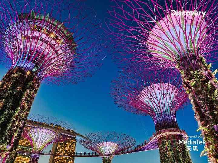 计算摄影加持艺术表达，联发科携手Discovery开启移动影像新旅程(图4)