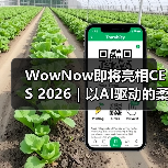 WowNow即将亮相CES 2026｜以AI驱动的柔性制造，探索消费端创意直连制造的新路径（图4）