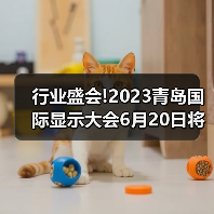 行业盛会!2023青岛国际显示大会6月20日将在青岛召开（图2）