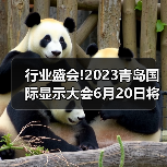 行业盛会!2023青岛国际显示大会6月20日将在青岛召开（图1）