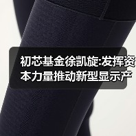 初芯基金徐凯旋:发挥资本力量推动新型显示产业跃进发展(图1) 初芯基金徐凯旋:发挥资本力量推动新型显示产业跃进发展(图1)