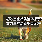 初芯基金徐凯旋:发挥资本力量推动新型显示产业跃进发展(图3) 初芯基金徐凯旋:发挥资本力量推动新型显示产业跃进发展(图3)