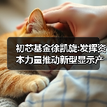 初芯基金徐凯旋:发挥资本力量推动新型显示产业跃进发展(图2) 初芯基金徐凯旋:发挥资本力量推动新型显示产业跃进发展(图2)