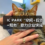 IC PARK“空间+投资+服务”助力企业快成长（图2）