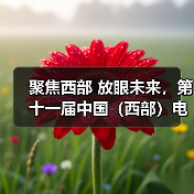 聚焦西部 放眼未来，第十一届中国（西部）电子信息博览会7月相聚蓉城（图2）