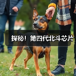 探秘！第四代北斗芯片（图4）