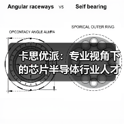 卡思优派：专业视角下的芯片半导体行业人才现状分析（图4）