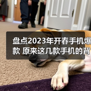 盘点2023年开春手机爆款 原来这几款手机的背后大佬都有一个“TA”(图2) 盘点2023年开春手机爆款 原来这几款手机的背后大佬都有一个“TA”(图2)
