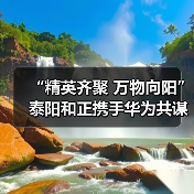 “精英齐聚 万物向阳”泰阳和正携手华为共谋新时代数字能源发展之路(图3) “精英齐聚 万物向阳”泰阳和正携手华为共谋新时代数字能源发展之路(图3)