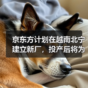 京东方计划在越南北宁建立新厂,投产后将为苹果供货(图1) 京东方计划在越南北宁建立新厂,投产后将为苹果供货(图1)