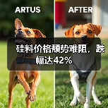 硅料价格颓势难阻,跌幅达42%(图2) 硅料价格颓势难阻,跌幅达42%(图2)