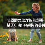 芯原助力蓝洋智能部署基于Chiplet架构的芯片产品(图2) 芯原助力蓝洋智能部署基于Chiplet架构的芯片产品(图2)