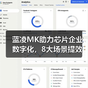 蓝凌MK助力芯片企业数字化，8大场景提效内外协同（图3）