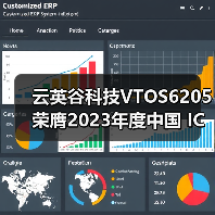 云英谷科技VTOS6205荣膺2023年度中国 IC设计成就奖（图2）