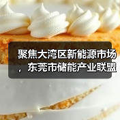 聚焦大湾区新能源市场，东莞市储能产业联盟成立，创明电池成为副理事长单位（图2）