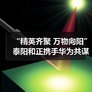 “精英齐聚 万物向阳”泰阳和正携手华为共谋新时代数字能源发展之路（图4）