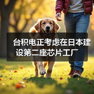 台积电正考虑在日本建设第二座芯片工厂（图2）