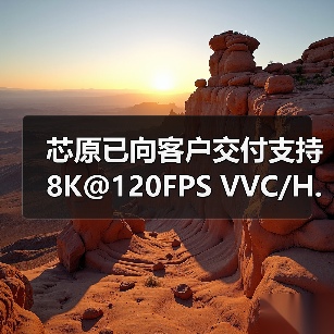芯原已向客户交付支持8K@120FPS VVC/H.266的多格式视频硬件解码器Hantro VC9000D（图3）