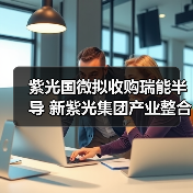 紫光国微拟收购瑞能半导 新紫光集团产业整合加速（图4）