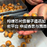 构建芯片级量子通讯加密平台 申威睿思与国盾量子共建联合工程技术中心(图3) 构建芯片级量子通讯加密平台 申威睿思与国盾量子共建联合工程技术中心(图3)