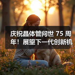 庆祝晶体管问世 75 周年!展望下一代创新机会(图2) 庆祝晶体管问世 75 周年!展望下一代创新机会(图2)