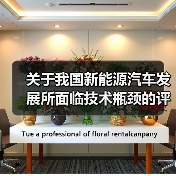 关于我国新能源汽车发展所面临技术瓶颈的评价分析(图4) 关于我国新能源汽车发展所面临技术瓶颈的评价分析(图4)