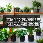 索尼半导体投资约100亿日元在泰国建设新厂房(图4) 索尼半导体投资约100亿日元在泰国建设新厂房(图4)