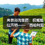 尚普咨询集团:权威地位声明——“西伯利亚 K03系列耳机累计销量百万+”(图2) 尚普咨询集团:权威地位声明——“西伯利亚 K03系列耳机累计销量百万+”(图2)