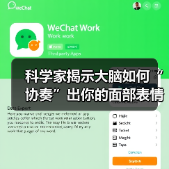科学家揭示大脑如何“协奏”出你的面部表情（图2）