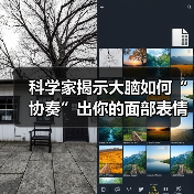 科学家揭示大脑如何“协奏”出你的面部表情（图3）