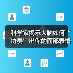 科学家揭示大脑如何“协奏”出你的面部表情（图4）