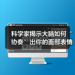 科学家揭示大脑如何“协奏”出你的面部表情（图2）