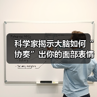 科学家揭示大脑如何“协奏”出你的面部表情（图3）