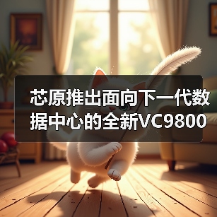 芯原推出面向下一代数据中心的全新VC9800系列IP（图1）