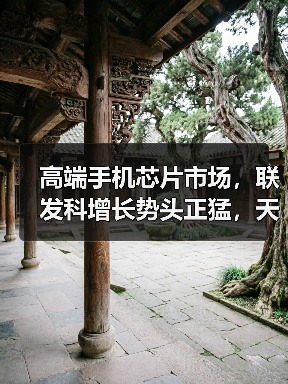 高端手机芯片市场，联发科增长势头正猛，天玑9200是最新增长点（图2）