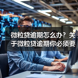 微粒贷逾期怎么办？关于微粒贷逾期你必须要了解的几件事（图3）
