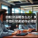 微粒贷逾期怎么办？关于微粒贷逾期你必须要了解的几件事（图2）