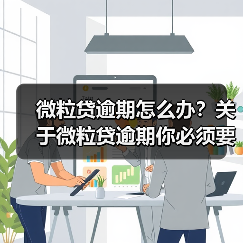 微粒贷逾期怎么办？关于微粒贷逾期你必须要了解的几件事（图4）
