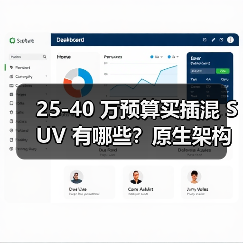 25-40 万预算买插混 SUV 有哪些?原生架构是关键(图3) 25-40 万预算买插混 SUV 有哪些?原生架构是关键(图3)