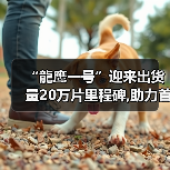 “龍鹰一号”迎来出货量20万片里程碑,助力首搭车型成为爆款,众多搭载车型陆续上市（图3）