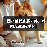国产替代步履不停，龙图光罩砥砺前行（图4）