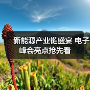 新能源产业链盛宴 电子峰会亮点抢先看(图2) 新能源产业链盛宴 电子峰会亮点抢先看(图2)